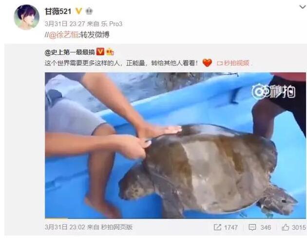 贾跃亭妻子甘薇这一年变化:微博再无大咖好友痕迹
